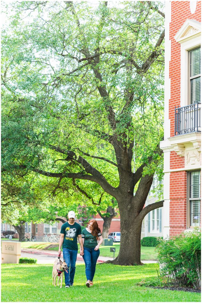man and woman walking dog on Baylor University campus in Waco, Texas engagement photos