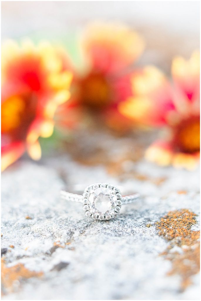 Round cut diamond halo ring at Cameron Park in Waco, Texas engagement photos