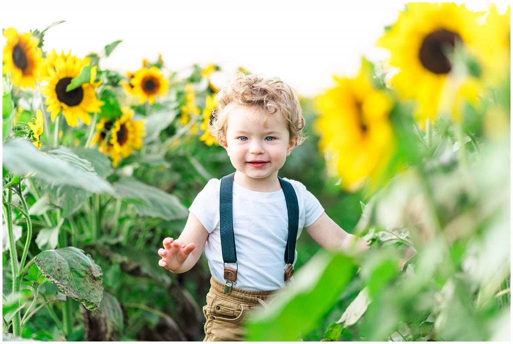 little boy in sunflower field