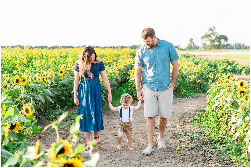 family pictures in sunflower field
