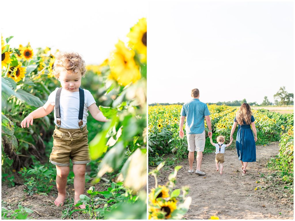 family pictures in sunflower field
