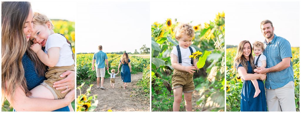 Family in a sunflower field at Gust Brothers Sunflower Farm